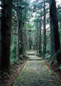 熊野参詣道中辺路大門坂